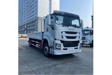Camión de carga ISUZU 15T(9m RURO VI)